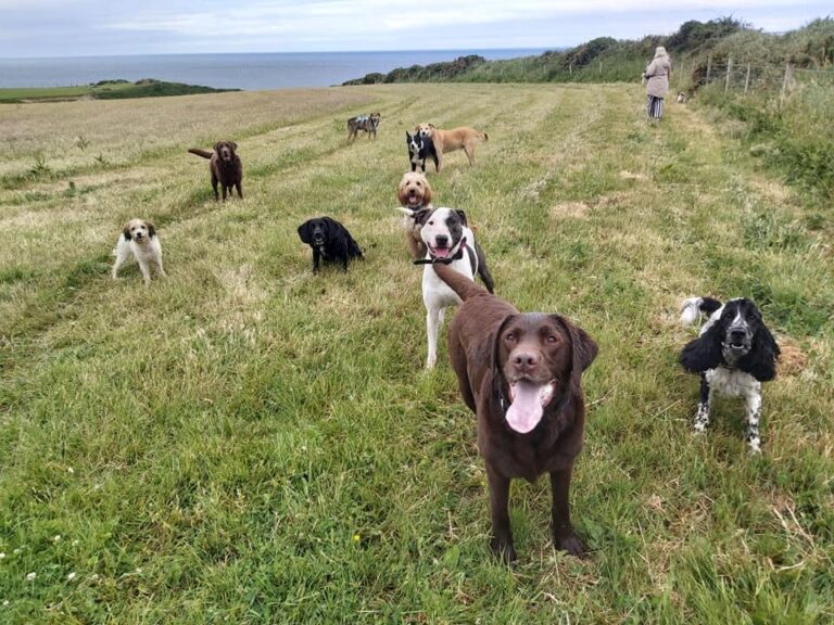 1642 491154c17a34a9904e3c11bb575869ea 1 768x576