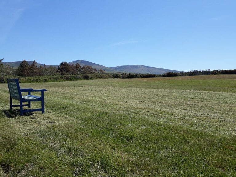 1642 668c317126da635623769b3c7ab6bad6 1 768x576