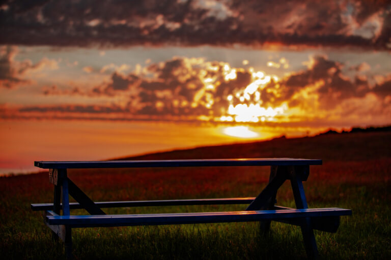 1642 6eeede04bd227cbef1ee968014b3d2a6 1 768x512