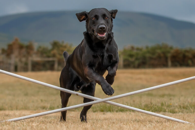 1642 75bdcf16d74f089755191292cb6e70fb 1 768x512