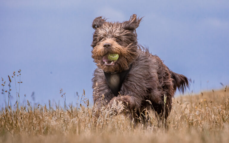 1642 c31080374408c699cba966e8365202b6 1 768x480