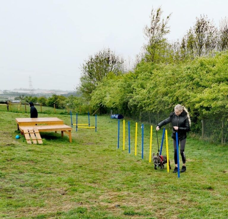 1646 ee1be848cd23131a41dbff894efd3f82 1 768x738