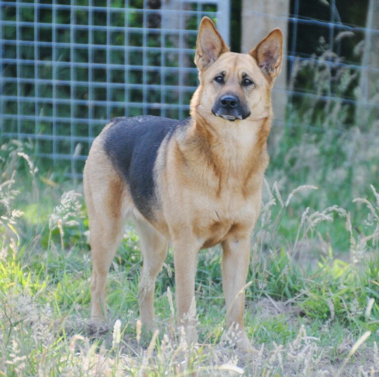 1647 b9a0c127c5ac6fef308b679786a7be0a 1 768x763