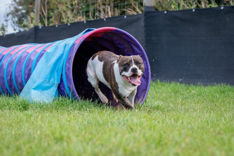 1657 02aecd6836edc9b88311ff154ad2c7b2 1 768x512