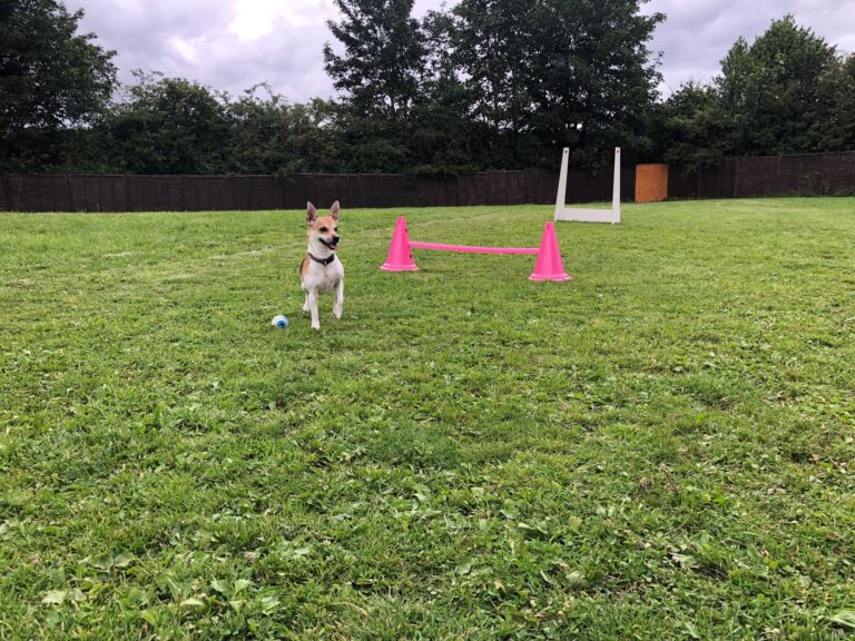 1661 09f2225ab8576bfefea934728b36838d 1 768x576