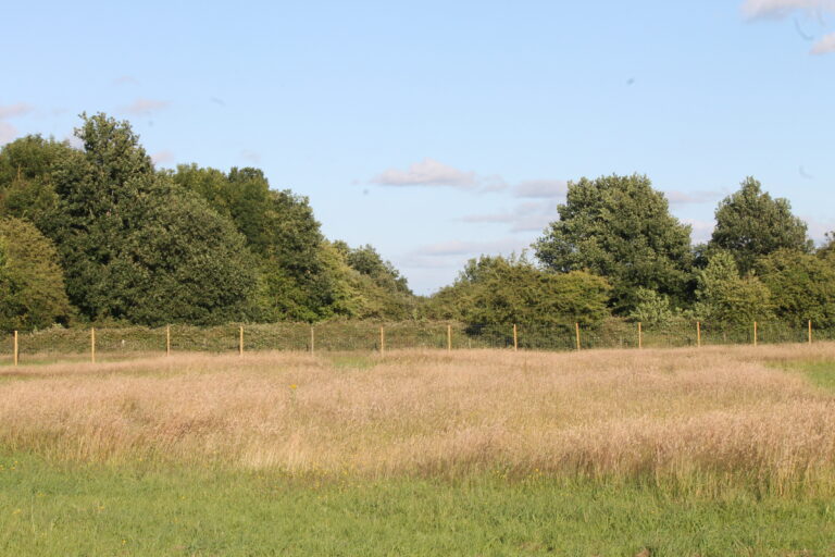 Bosty Fields, Aldridge, WS4 1LH - Secure Dog Walking Park - Dog Walking ...