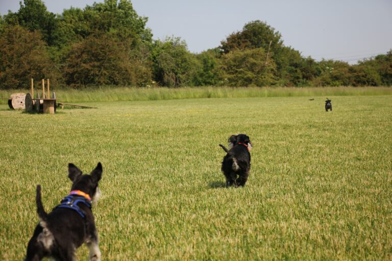 1669 d6119fb7d87b86845b0bf033e1602fa8 1 768x512