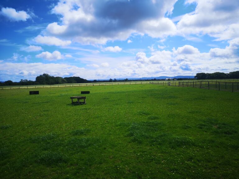 1685 2774cd5c0ba21ada31cc7e669ea61932 1 768x576