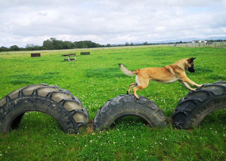 1685 43d94ddb128ad134b5793c85acff1dbd 1 768x548