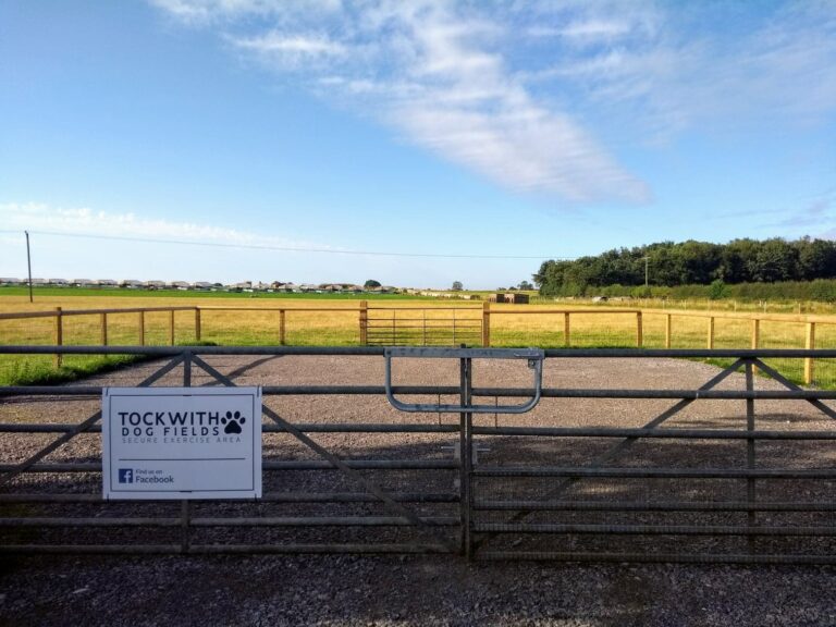 1687 5e0e5621b0ef52adcaa2f3b01d105519 1 768x576