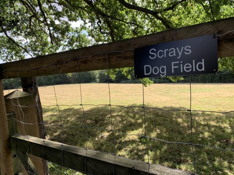 1688 a4b48a3003eb18fae38add5e926d97a6 1 768x575