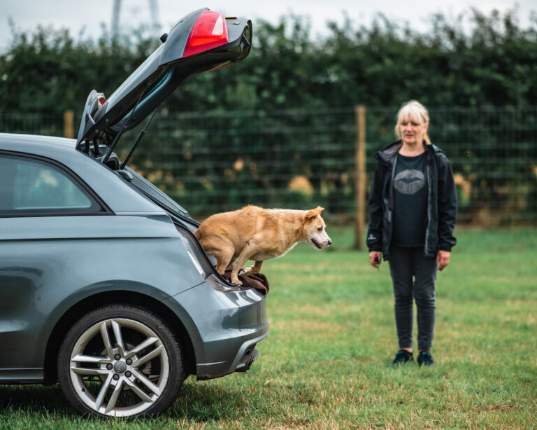 1697 7994209909ec13b8ede5cfadf7bae74e 1 768x614