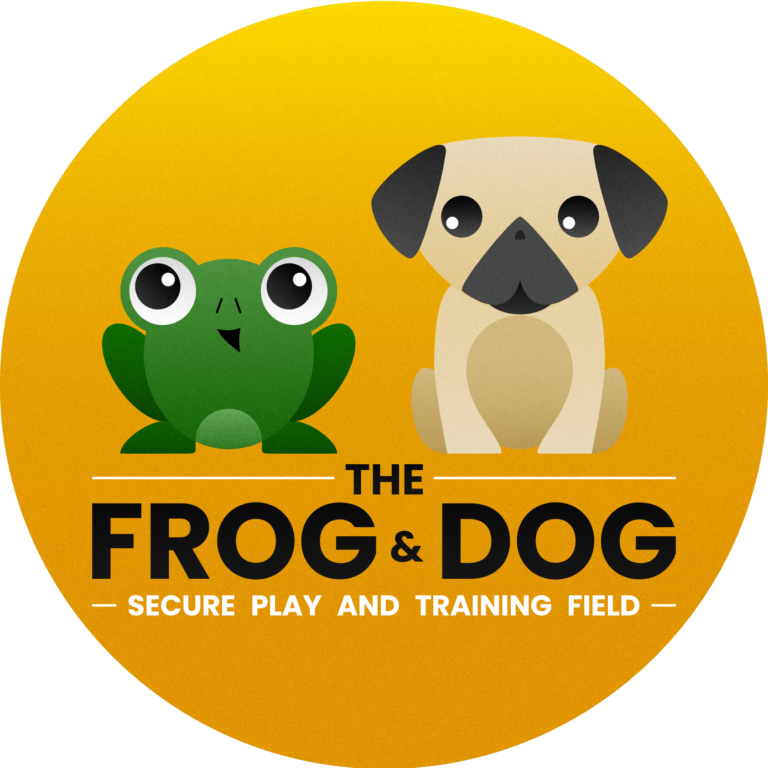 1697 b1d402cc431ad2ceb1aad05abc08fb51 1 768x768