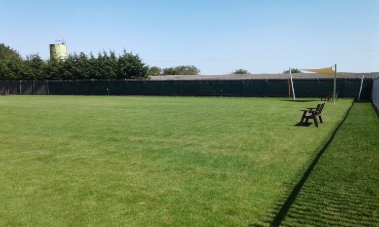 1698 98996229e1b7527fc9b02ff252702113 1 768x461