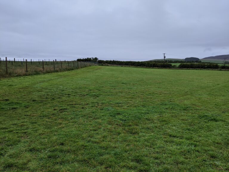 1702 046946015c15c10316ac5e8290041bcf 1 768x576