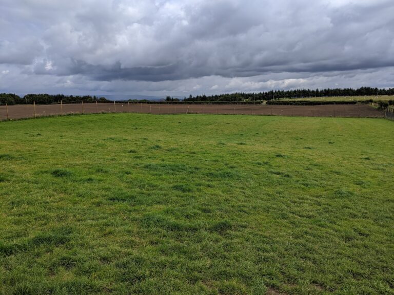 1704 98e4aa29f41ff21c70bbcaf59d34c541 1 768x576