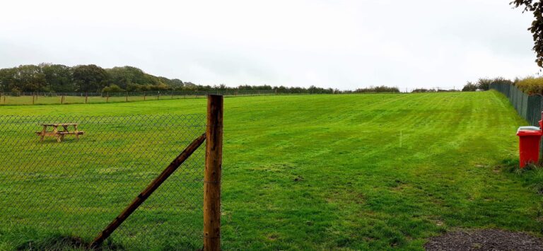 1705 483cea8325492f025e93a3e2ba6249af 1 768x355