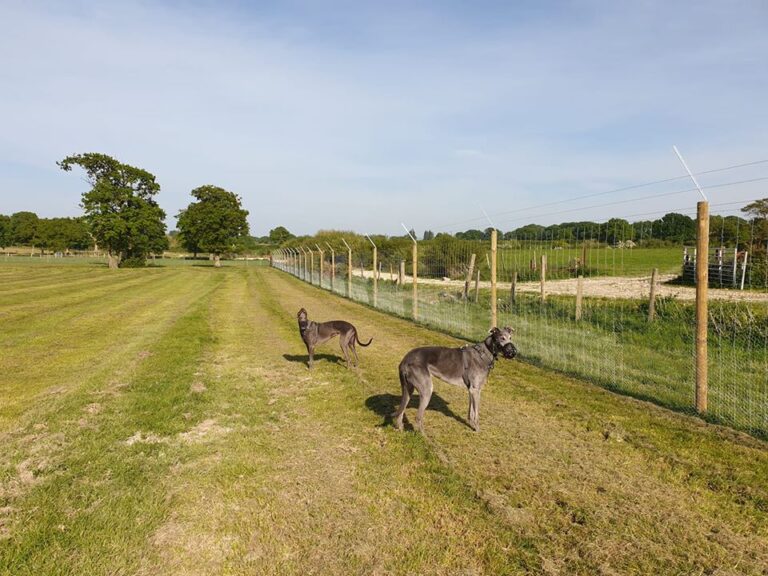 1710 94035005af0927f1f0707a39fa102fd7 1 768x576