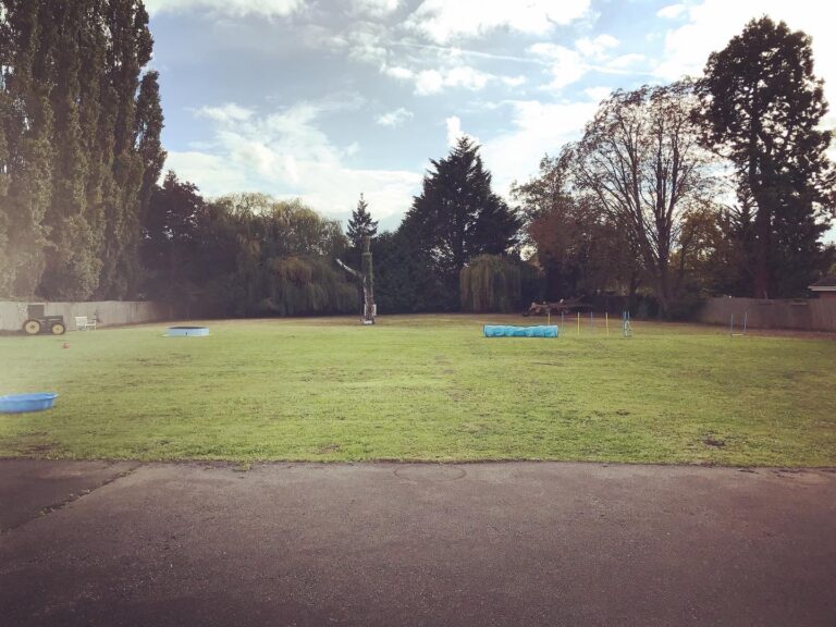 1711 27f3a113565d0c67e2faa1c5e55eeee6 1 768x576