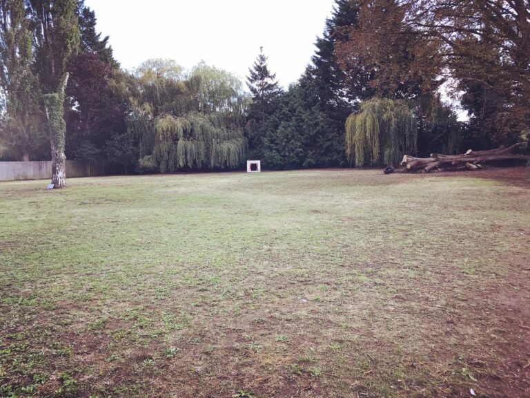 1711 94648efc09fd1000fb47b3f02ddce514 1 768x576