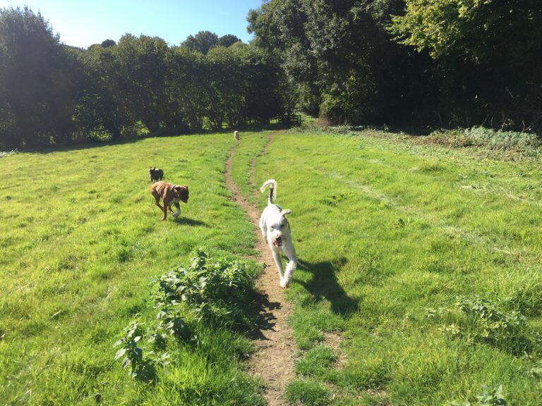 1714 59a79b4e00bc4810b588cb459cd95164 1 768x576