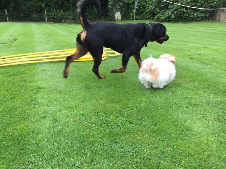 1714 bb486b01dcf86d0d584804e1994d5bce 1 768x576