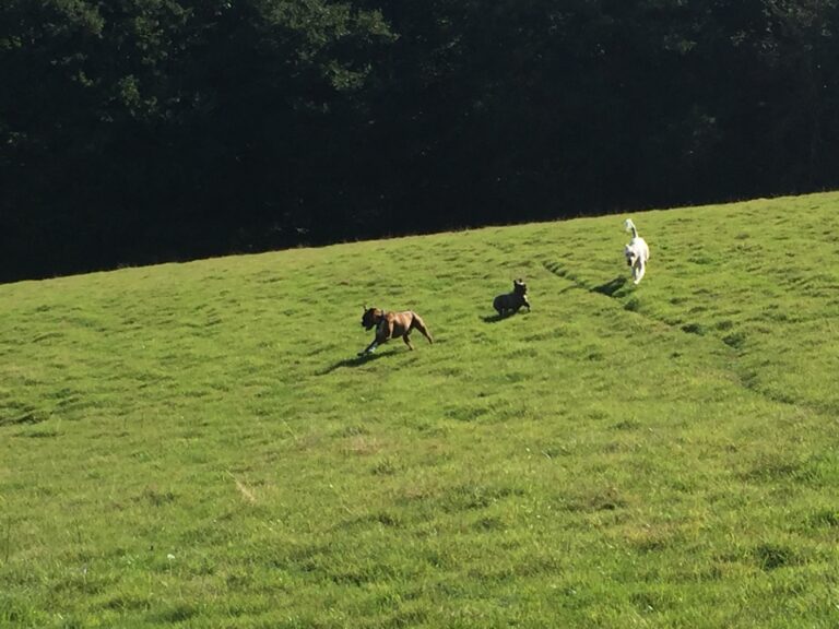 1714 d4edbd4b9180c86b681a50ad31657163 1 768x576