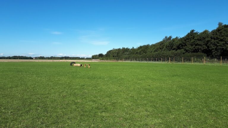 1717 1d0558a236f94a131e1f957351f820f1 1 768x432