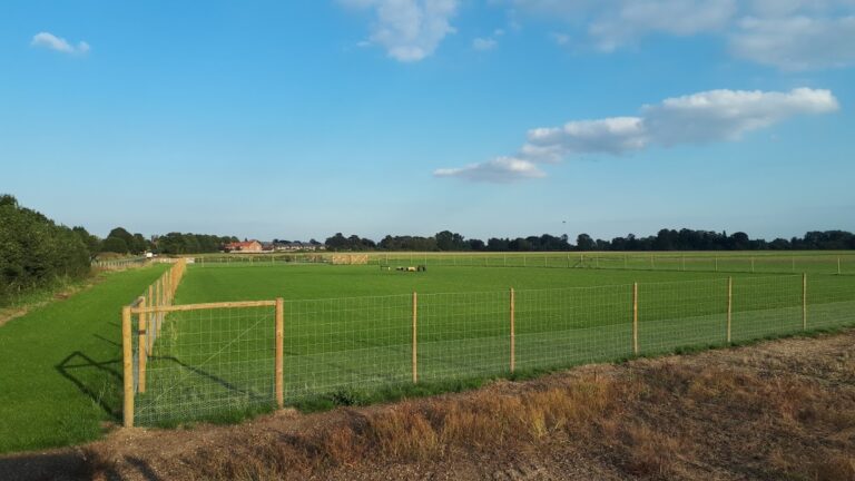 1717 2ab8ed811f944f7239615d4ecfbdfb4f 1 768x432