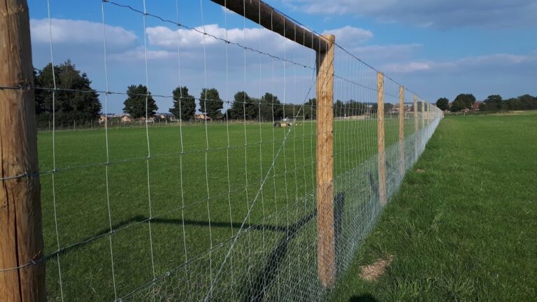 1717 48c9c5d17492e60e0f47f18fd8a9682c 1 768x432