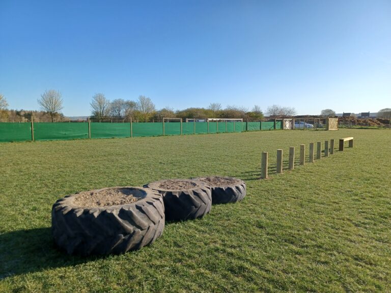 1717 5a6828e1e77a3796e6a08d4a4b1307f8 1 768x576