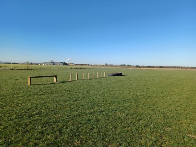 1717 84bcd2cd8240f150c24edb932db33177 1 768x576