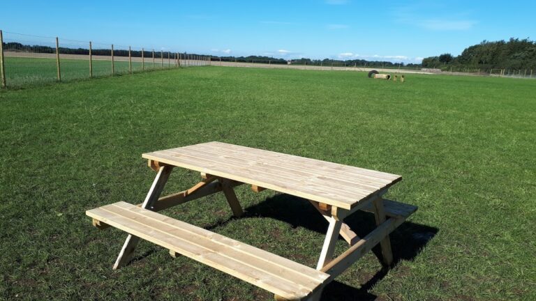 1717 9d0c5bfcaf66eb6b36bc36e66f58faf4 1 768x432