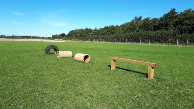 1717 a64fffa642a096c4e253f61f93078be8 1 768x432