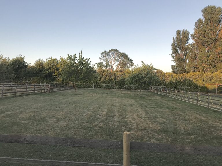 1736 12e34ae3218ee756d1aca9ee3b0c2b82 1 768x576