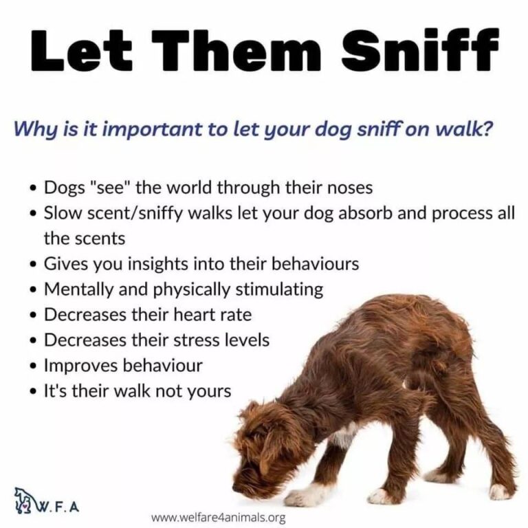 1736 32637e2aa0dd735729862ad95df40539 1 768x768