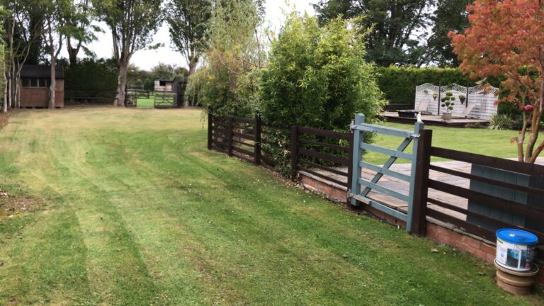 1736 f839adb62754e8f14aaa3c99fec4cd73 1 768x432