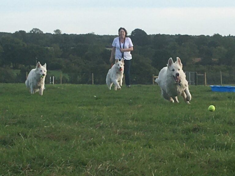 1737 fe256e458138abf62dd13b47685ba023 1 768x576