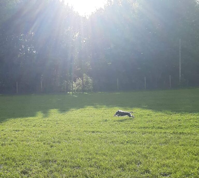 1740 2e2fde56d0f89efe832b705bf59894cf 1 768x688