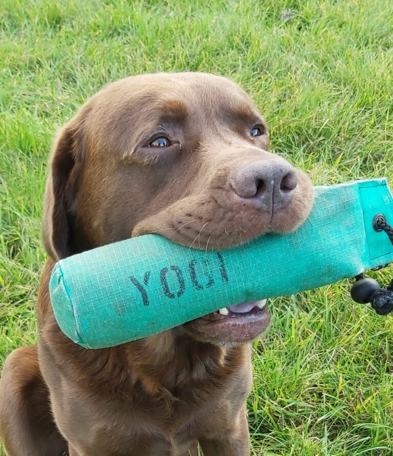 1740 4a3b3ee31038b50fa571d7496a25146f 1 768x890