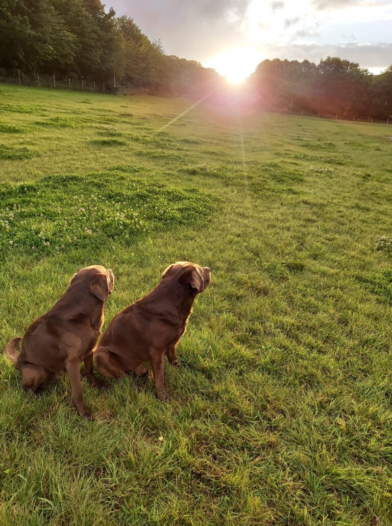 1740 673c1739929263ed1bc5cd112bf00bd5 1 768x1029