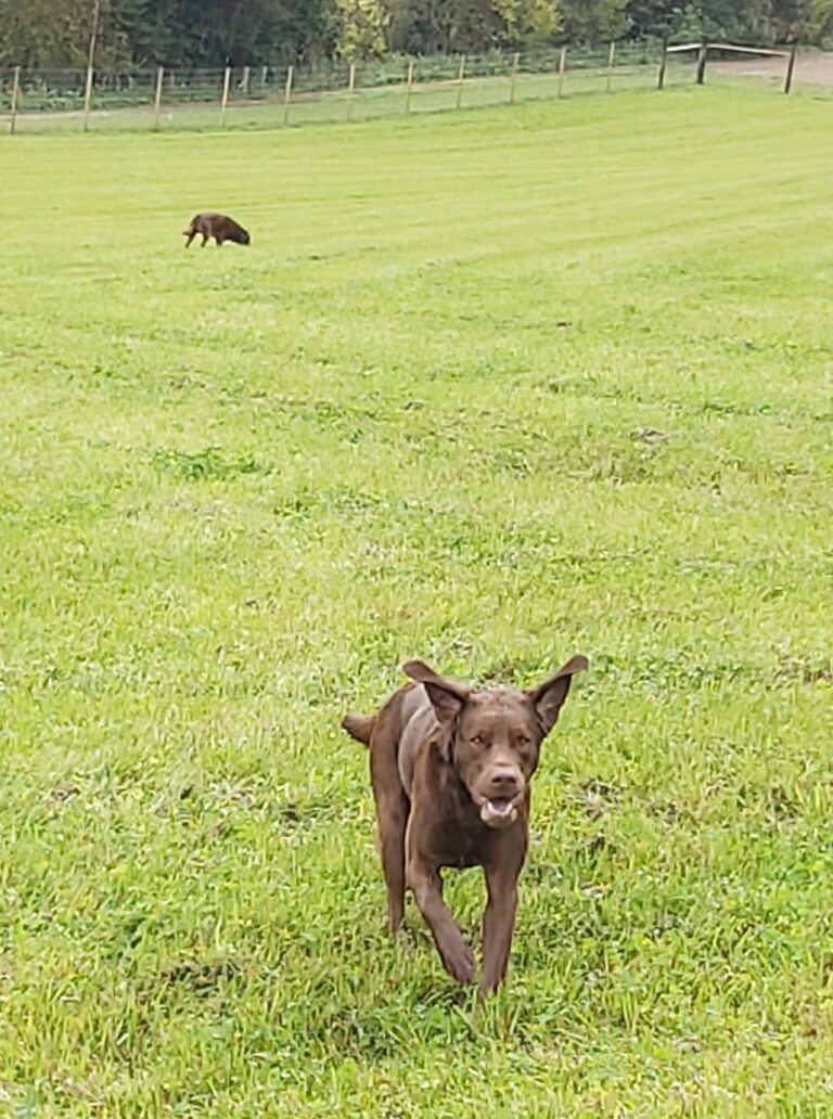 1740 79402032be003311a24ba726bb9486c2 1 768x1032