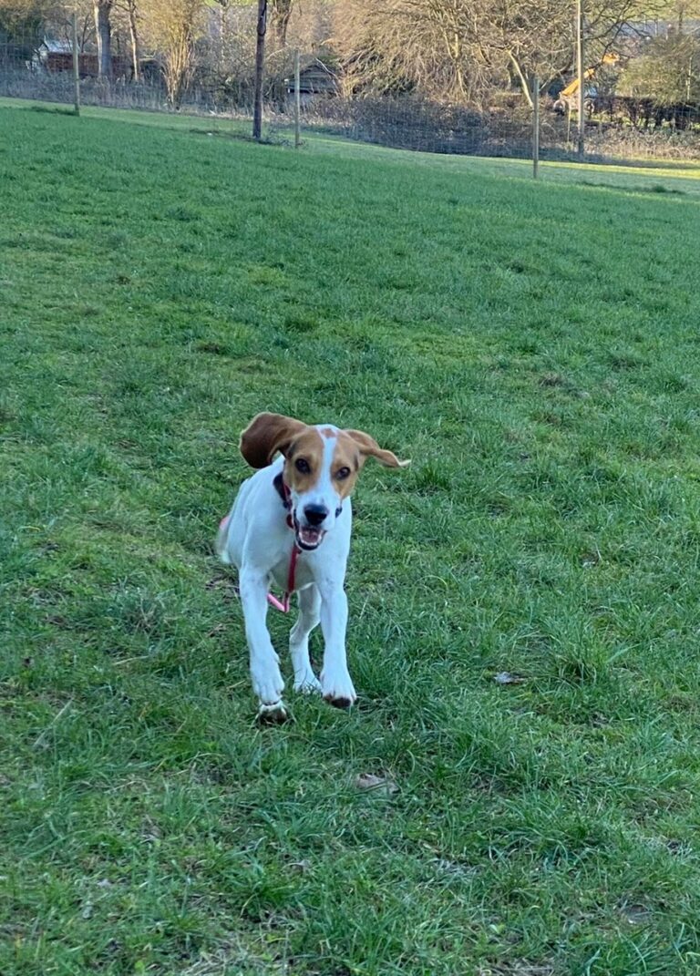 1740 920df81f10026bf3e03b88f302d3238a 1 768x1071