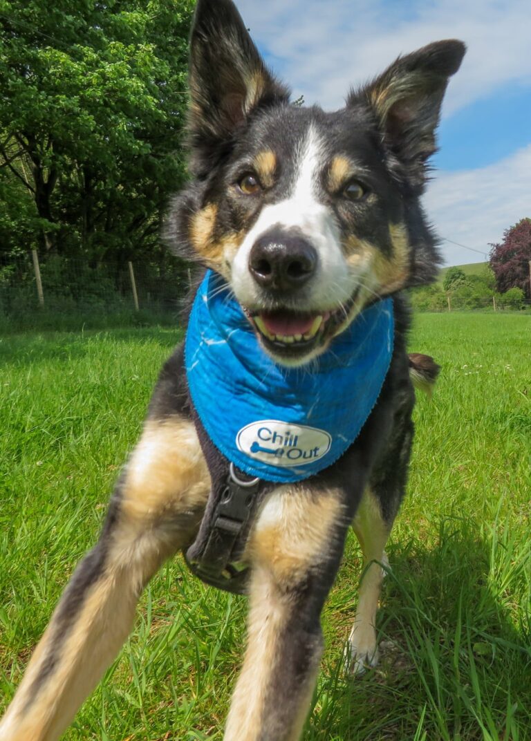 1740 a431b3c9e28f6092e22634c769985604 1 768x1072