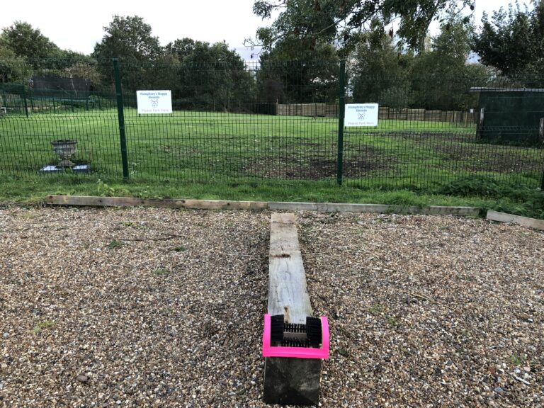 1742 408cdc380213cfe1632b7ee81f2154e2 1 768x576