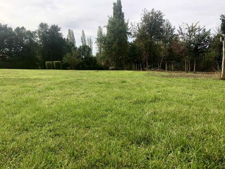 1742 64d37c357d5e5375251a58ab3897191d 1 768x576