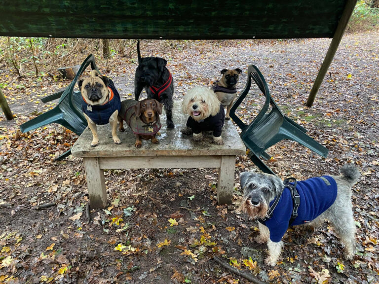 1742 65cfbf7391de0fa2ea248ab7776a5d4b 1 768x576