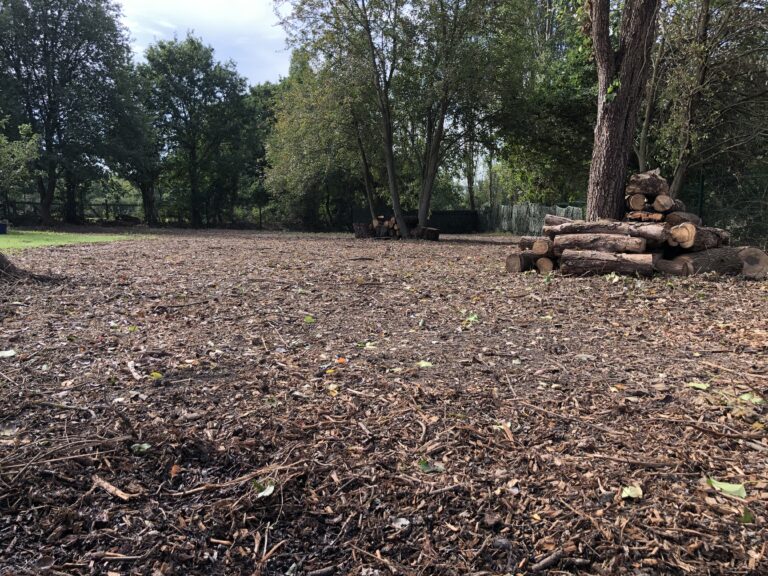 1742 c1b1d13a2687d2bab8e9ede6ea81584a 1 768x576