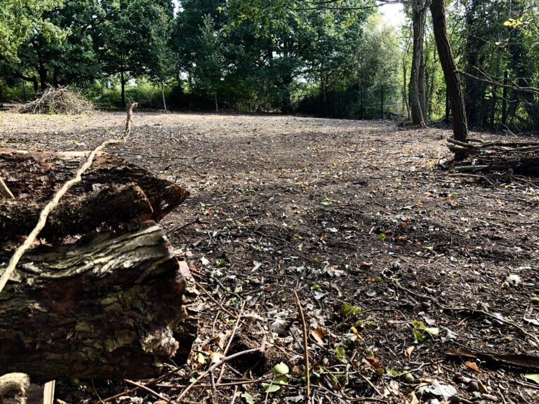 1742 cae63e6c0617c576f8a0902a2eb319b9 1 768x576