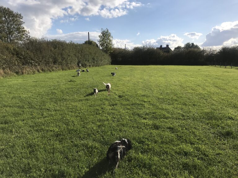 1743 999b2890e95eb1c745f0f19a233d531d 1 768x576